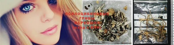 ECSTASY Алексин