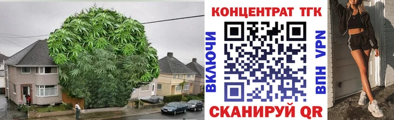 MEGA ссылки  магазин    Черепаново  это телеграм  ТГК THC oil 